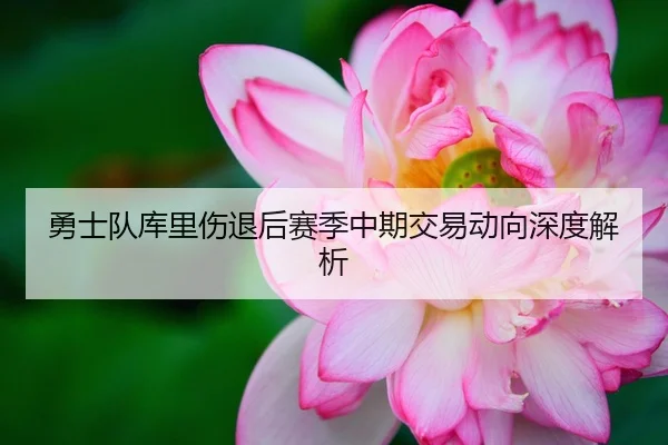 勇士队库里伤退后赛季中期交易动向深度解析