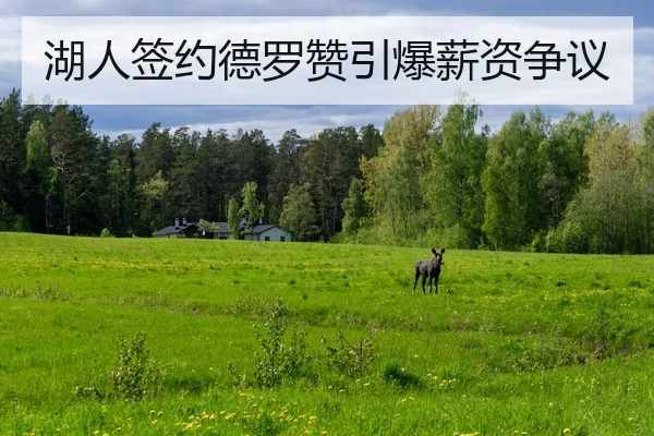 湖人签约德罗赞引爆薪资争议