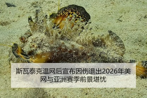 斯瓦泰克温网后宣布因伤退出2026年美网与亚洲赛季前景堪忧