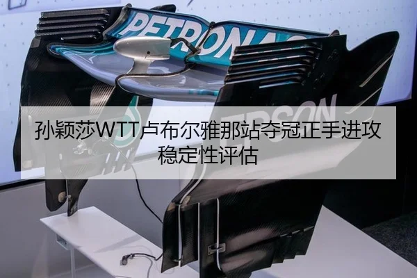 sun-ying-sha-lu-bu-er-ya-na-zhan-duo-guan-zheng-shou-jin-gong-wen-ding-xing-ping-gu-3-254.jpg